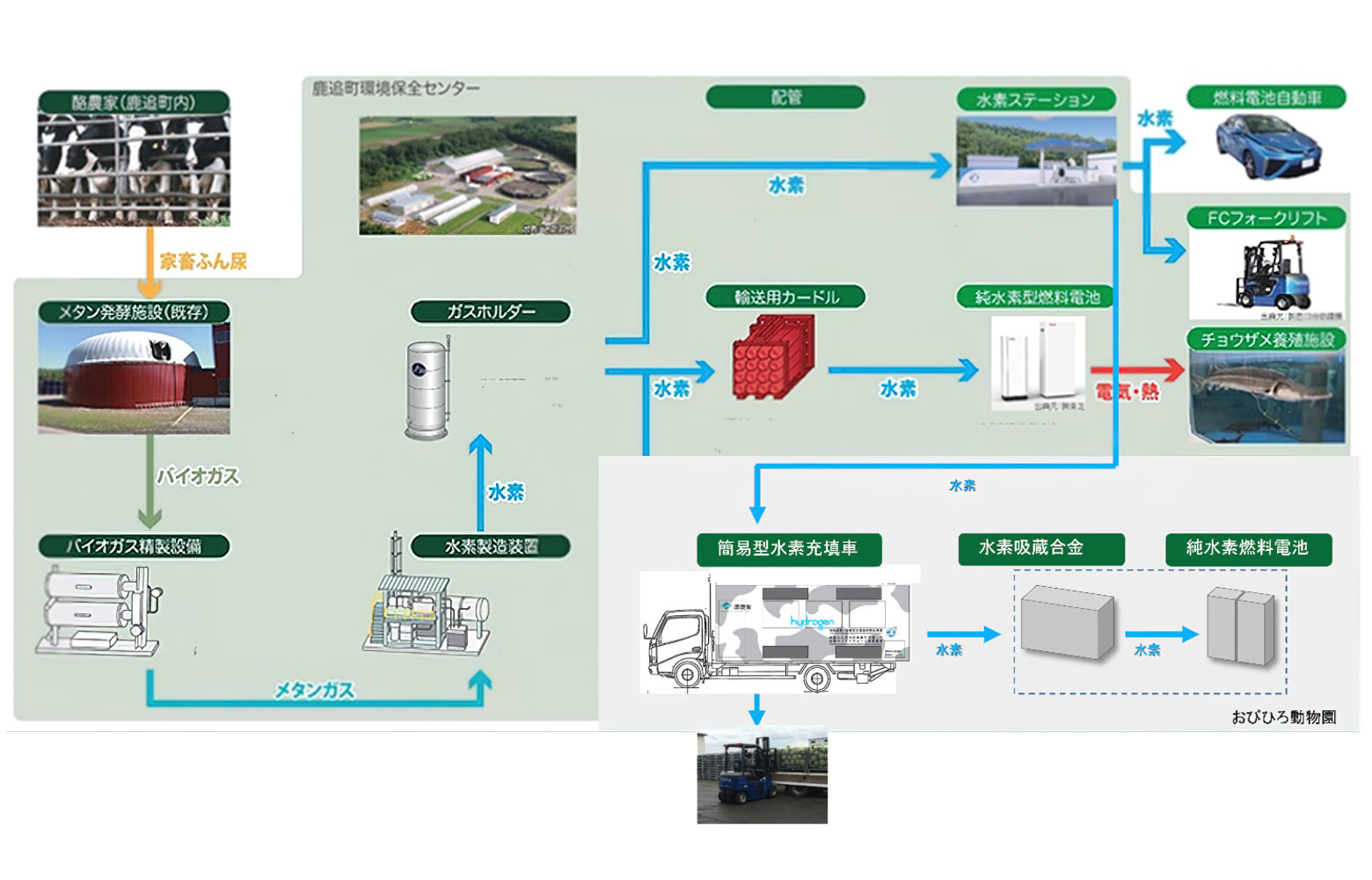 「家畜ふん尿由来水素を活用した水素サプライチェーン実証事業」におけるサプライチェーンモデル